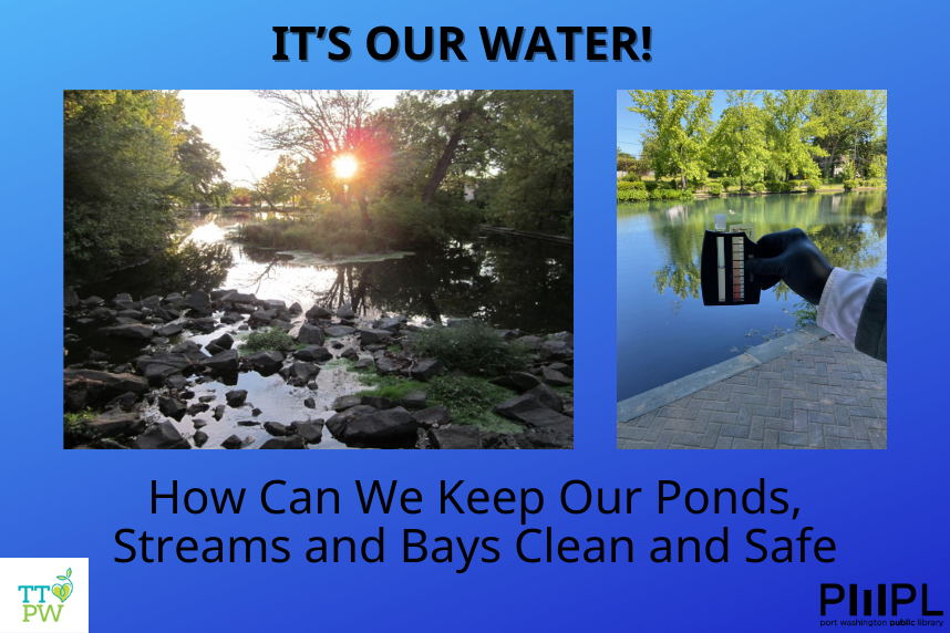 It's Our Water! How Can We Keep Our Ponds, Streams, and Bays Clean and Safe
