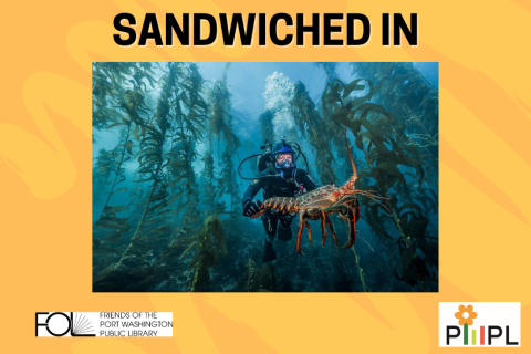 Sandwiched In - Channel Islands - California's Underwater Jungle