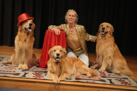 Woman with three golden retrievers