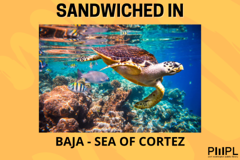 Sandwiched In with Eco-Photo Explorers - Baja: Sea of Cortez