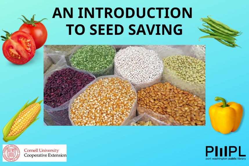 An Introduction to Seed Saving
